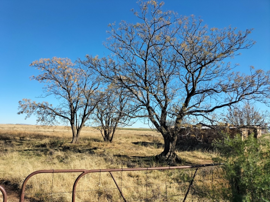 4 Bedroom Property for Sale in Edenburg Rural Free State
